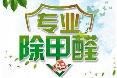 除甲醛公司十大排名